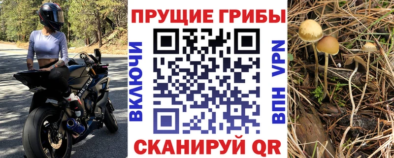 Псилоцибиновые грибы MAGIC MUSHROOMS  Семикаракорск 
